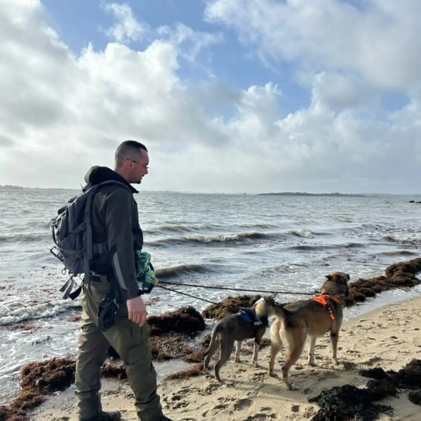 David Lenormand promenant plusieurs chiens en laisse sur la plage